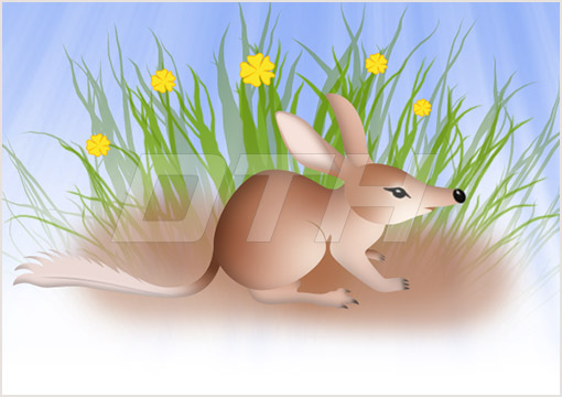 Bilby