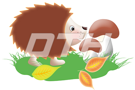 Таралежче DTH